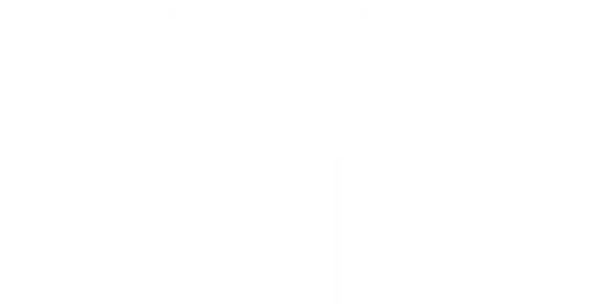 Radim Vizváry: Sólo