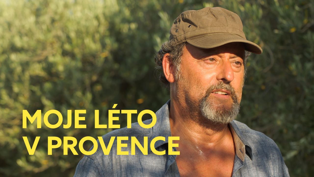 Moje léto v Provence