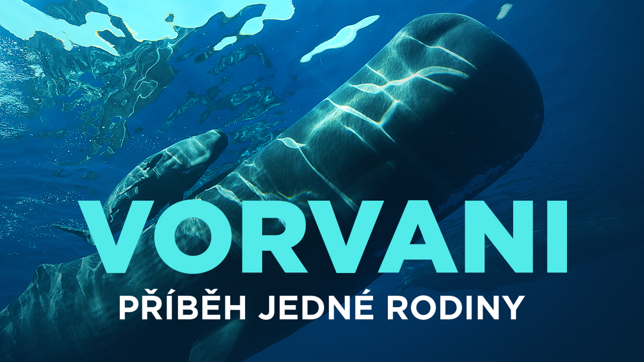 Vorvani - příběh jedné rodiny