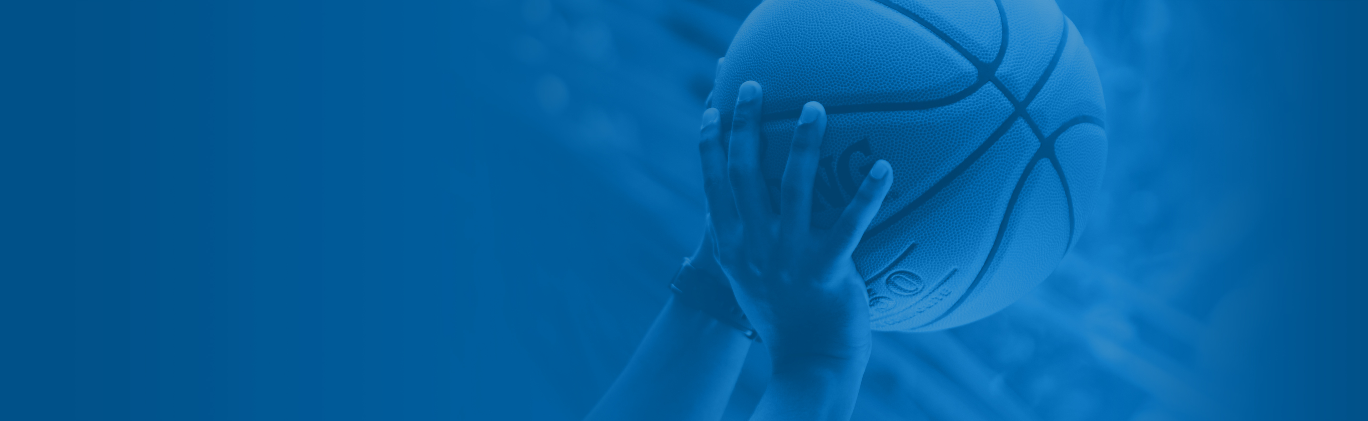 Liga ACB