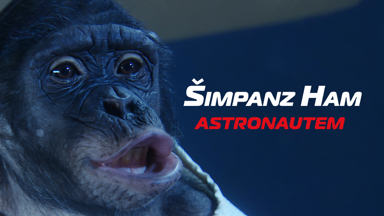 Šimpanz Ham astronautem