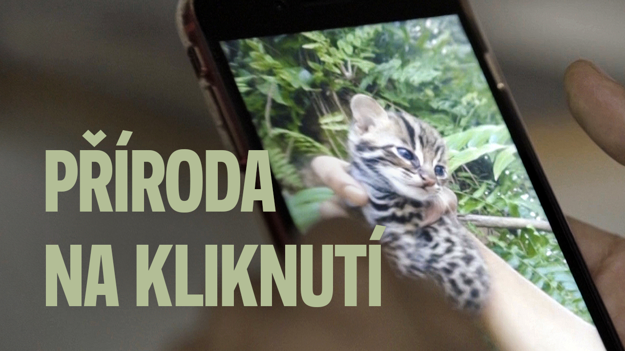 Příroda na kliknutí