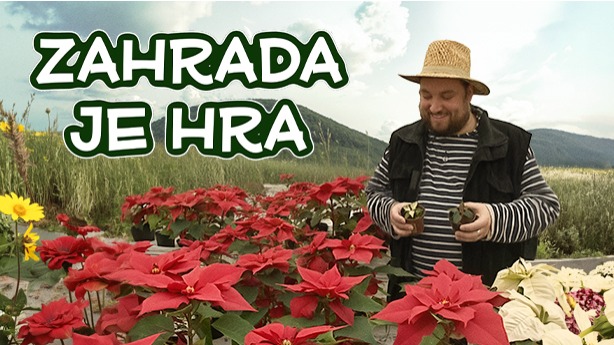 Zahrada je hra