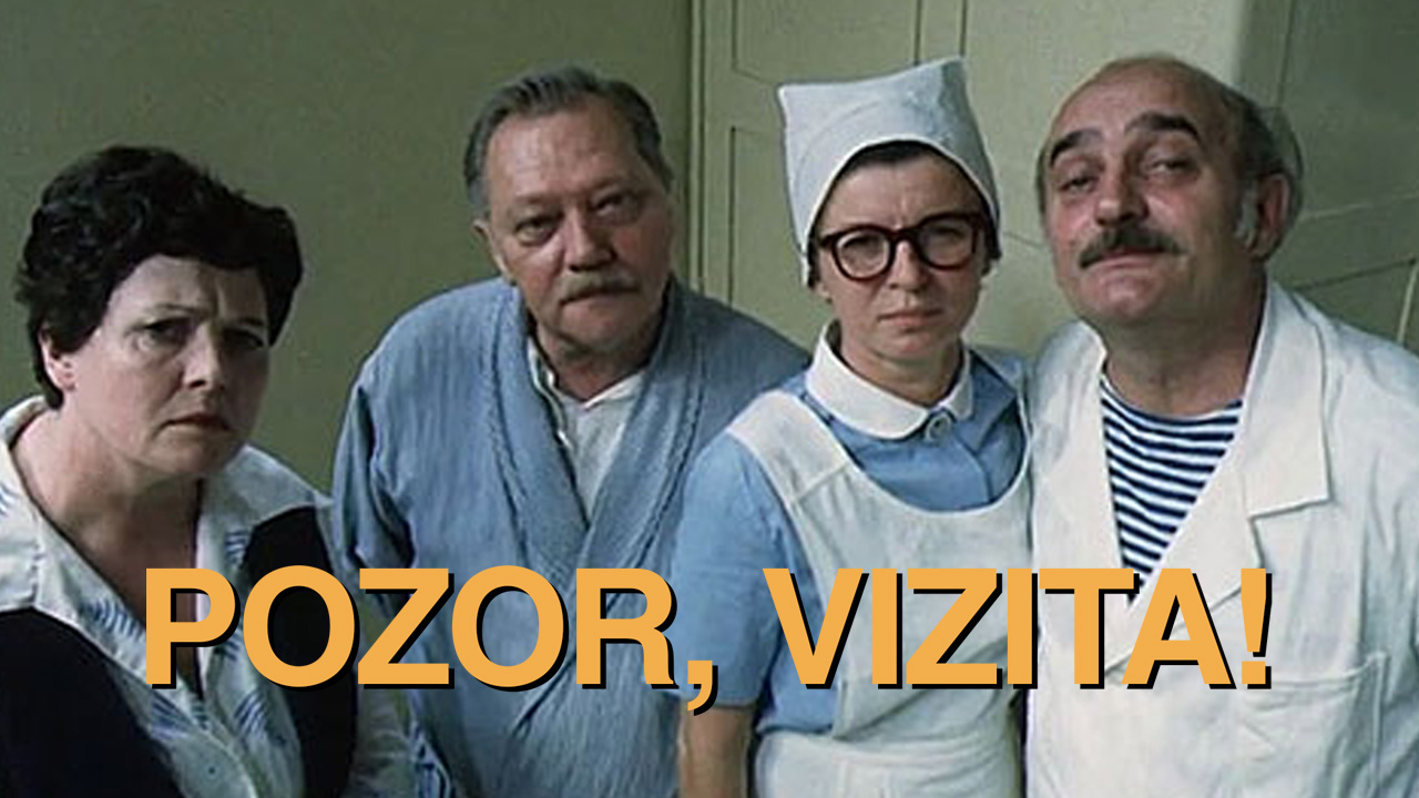 Pozor, vizita!