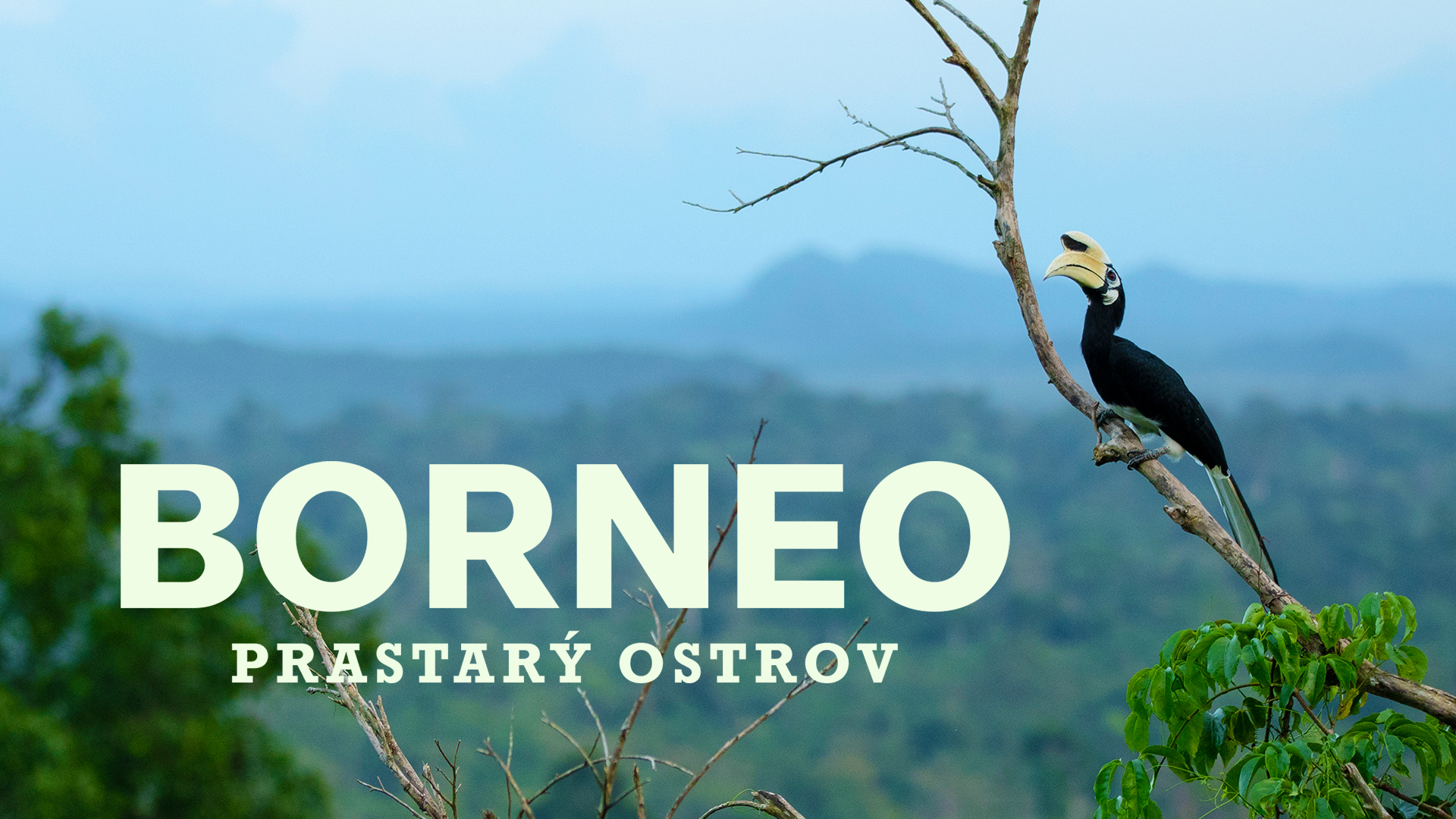 Borneo - prastarý ostrov