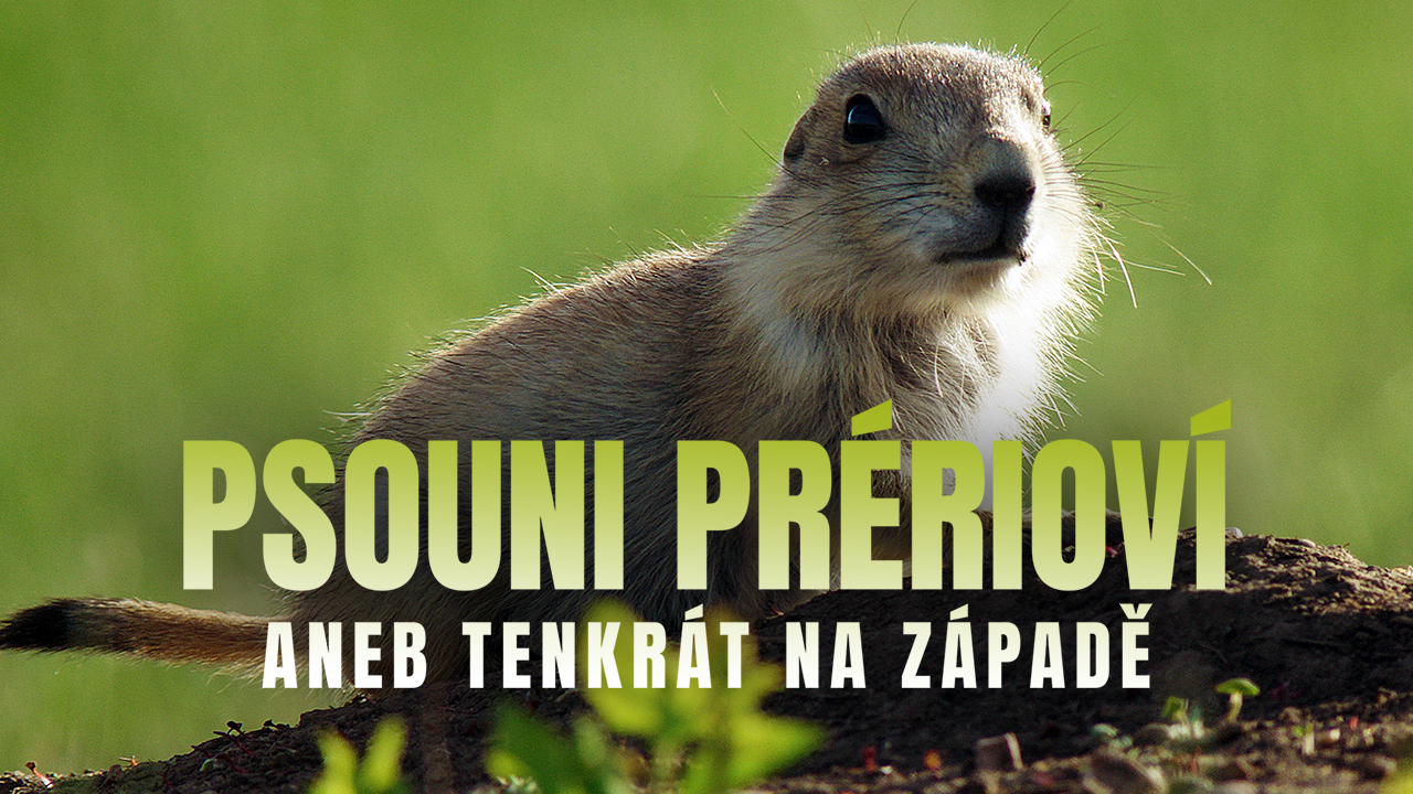 Psouni prérioví aneb Tenkrát na západě