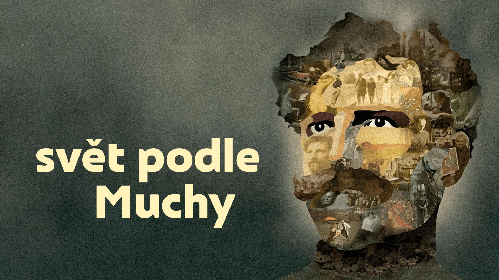 Svět podle Muchy