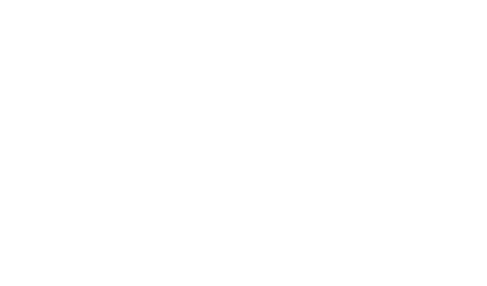 Dobří holubi se vracejí