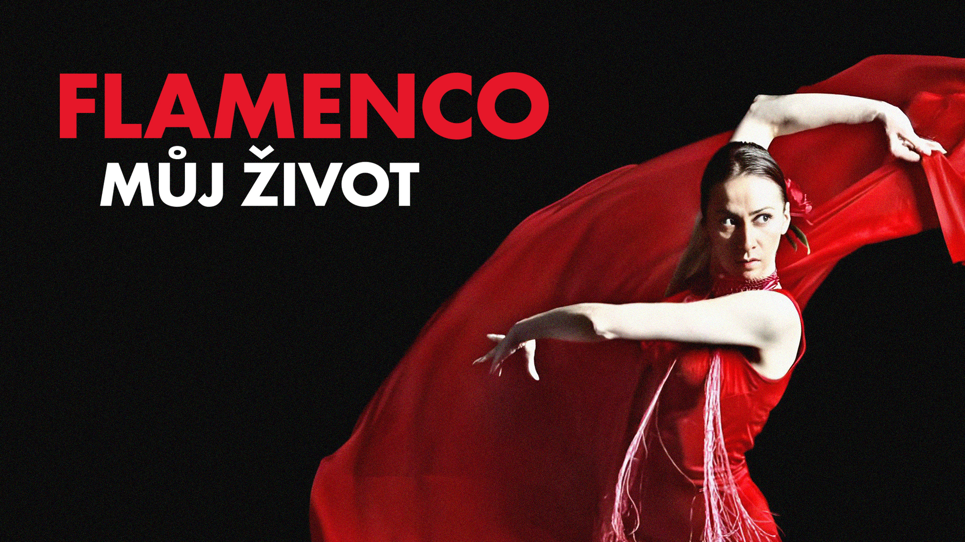 Flamenco, můj život