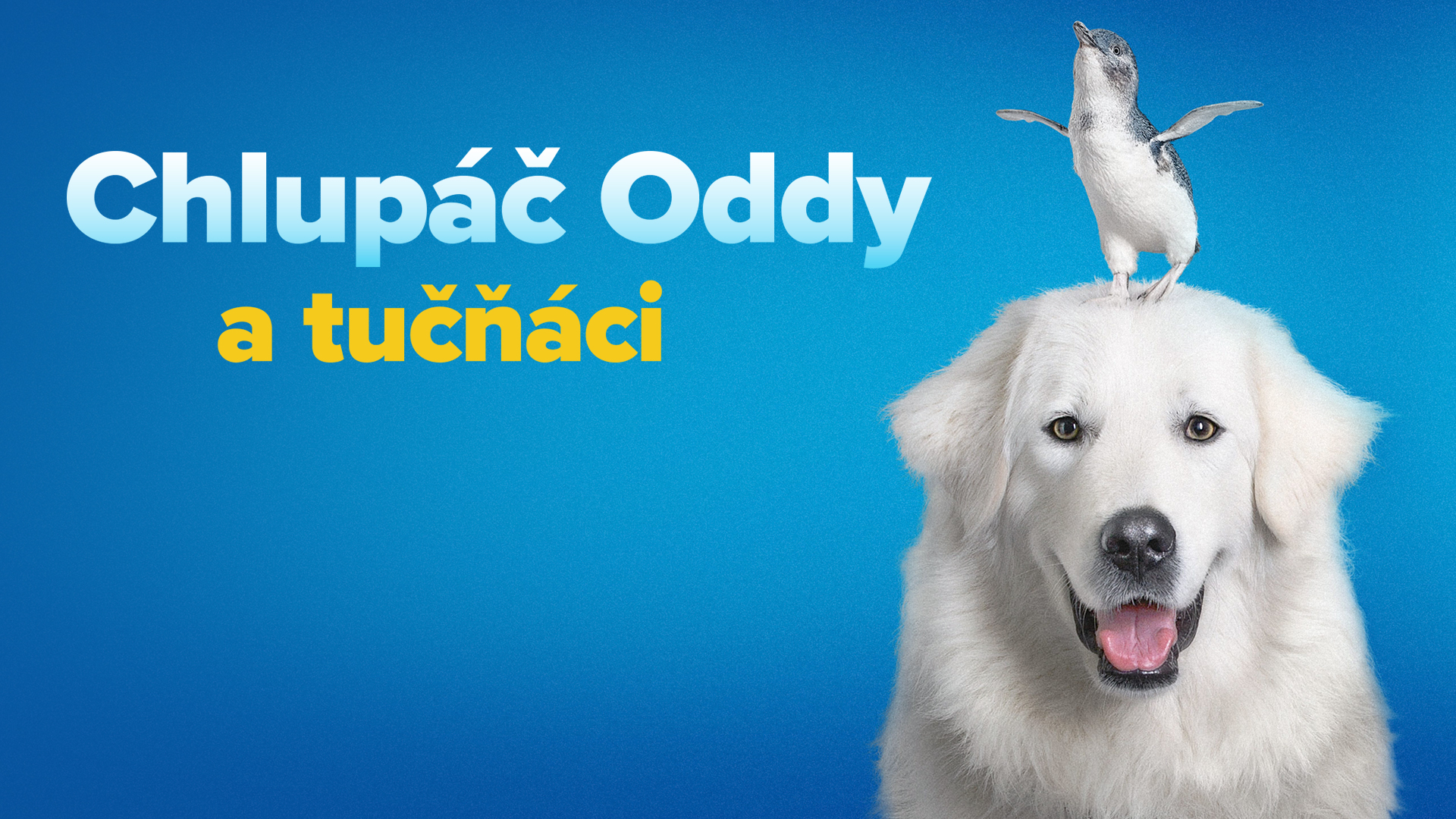 Chlupáč Oddy a tučňáci