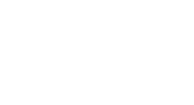 Cirque du Soleil: Alegría