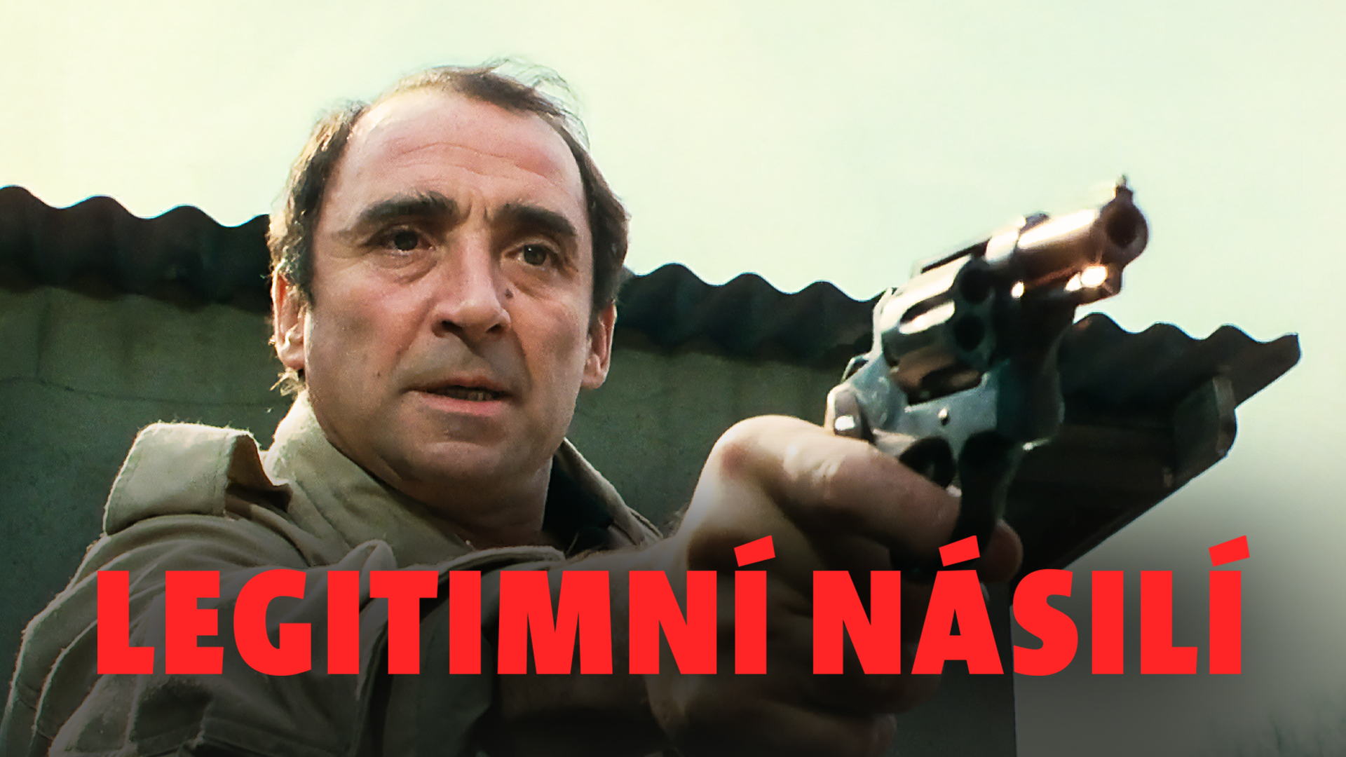 Legitimní násilí