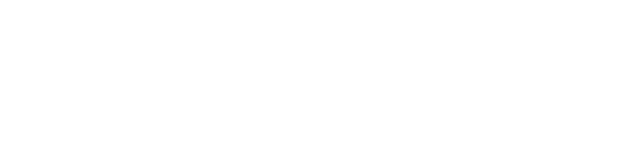 Drahý Mistře – Josip Plečnik, architekt Pražského hradu