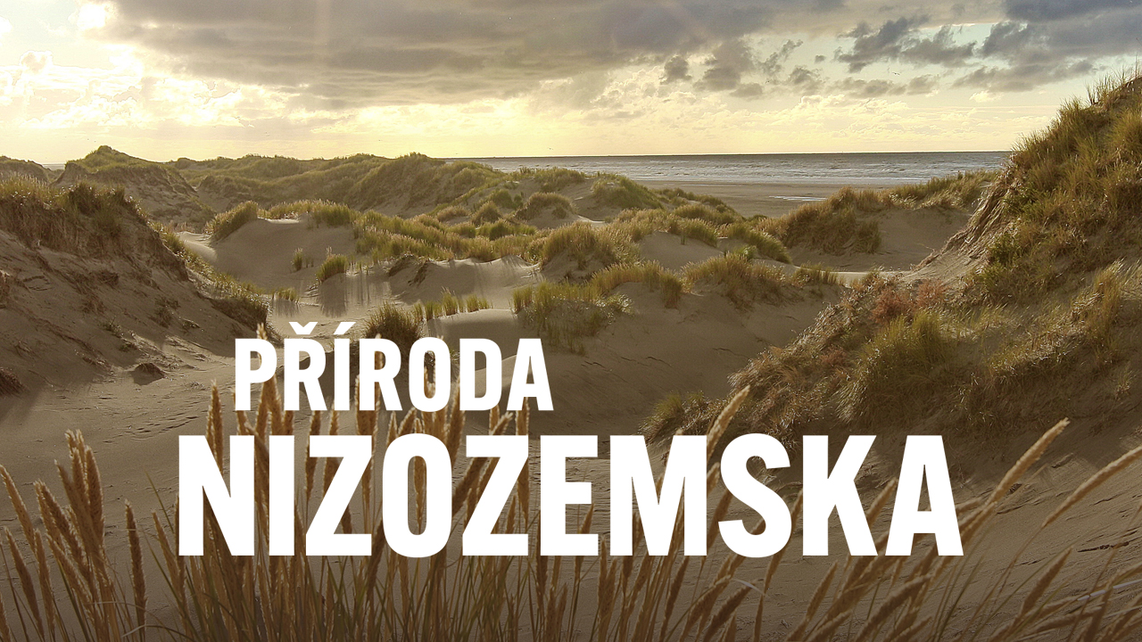 Příroda Nizozemska