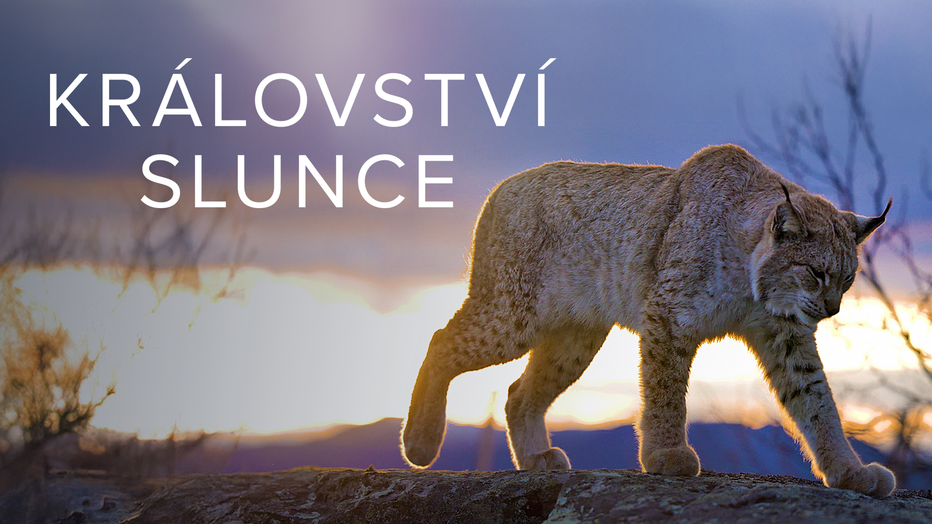 Království Slunce
