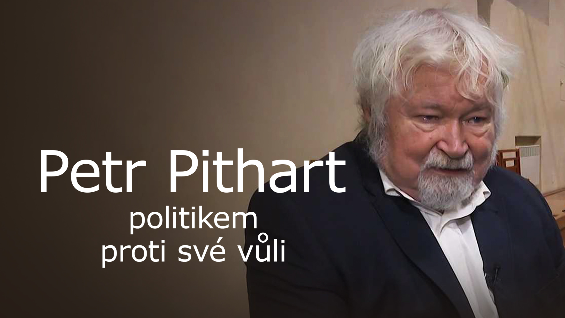 Petr Pithart, politikem proti své vůli