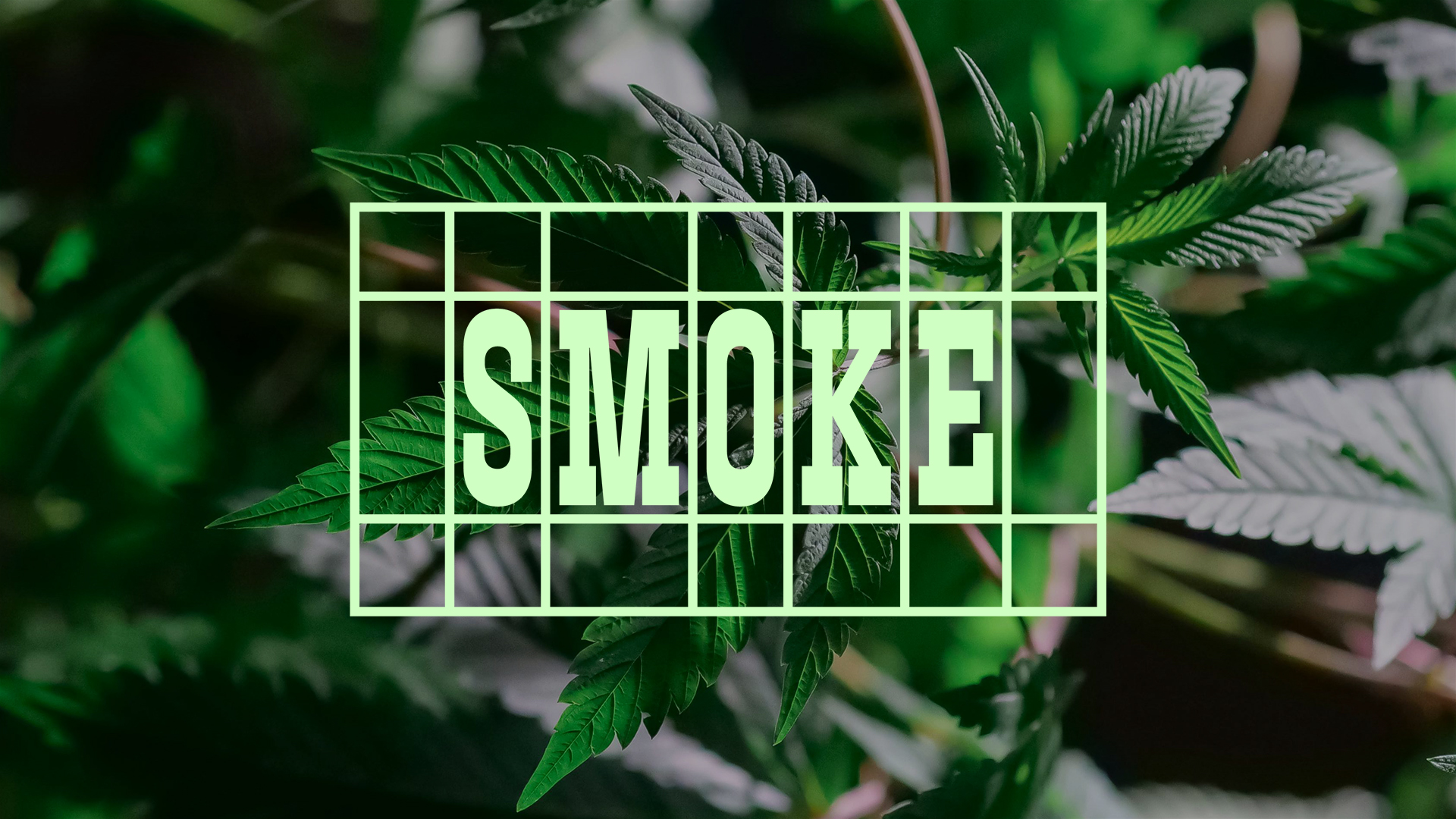 Smoke