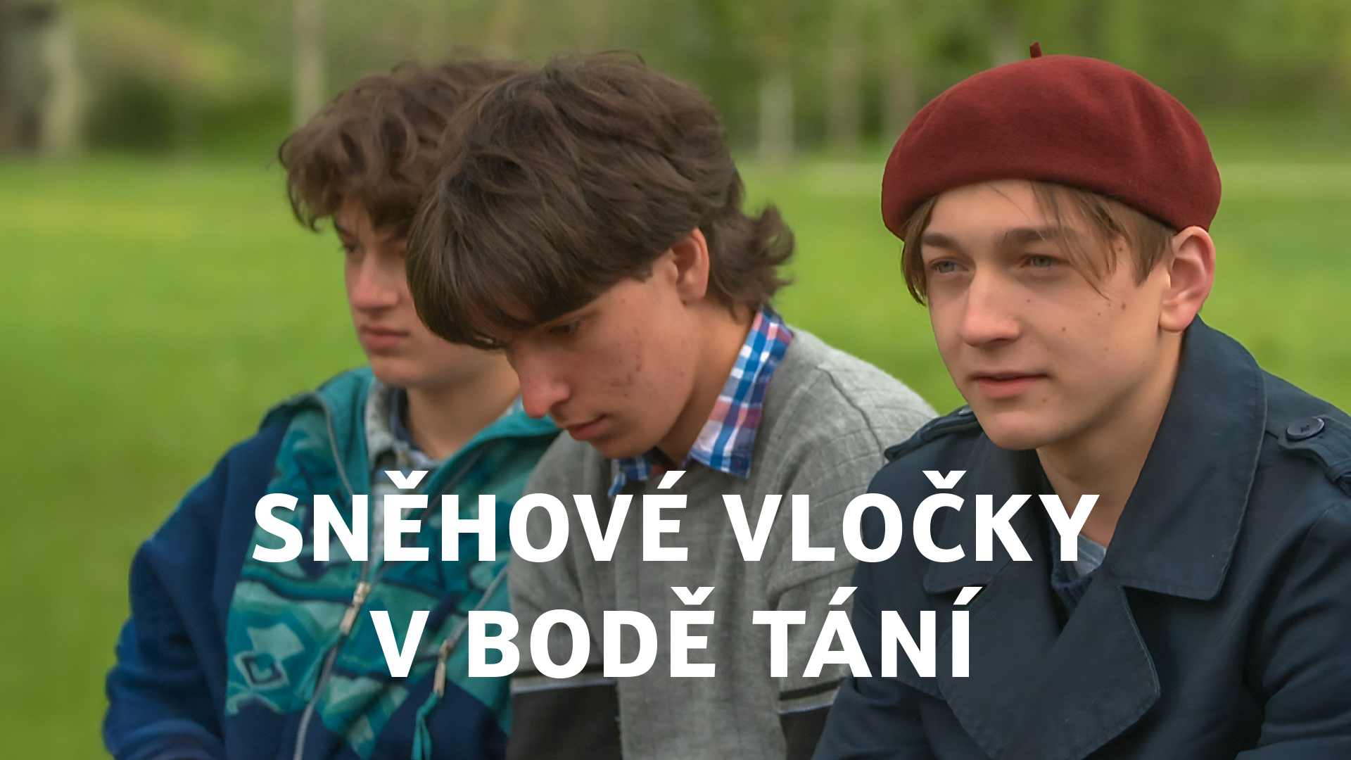 Sněhové vločky v bodě tání