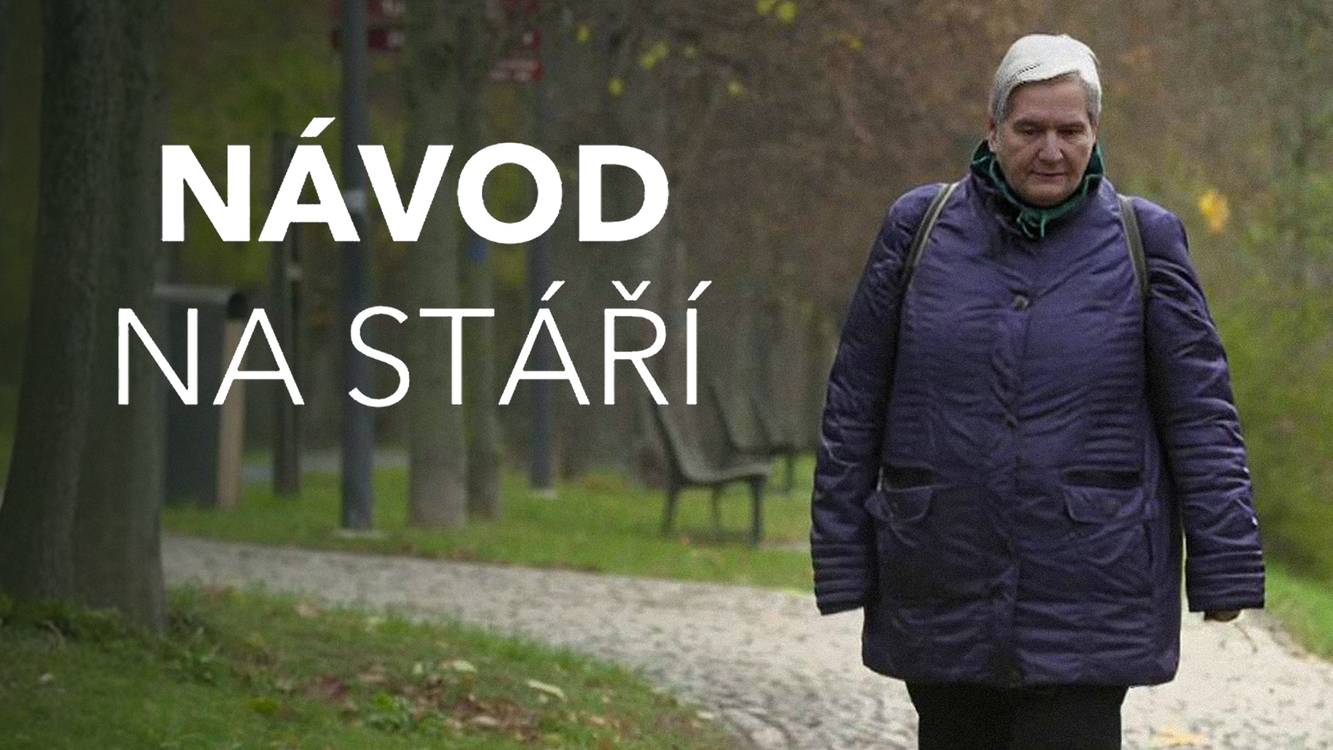 Návod na stáří