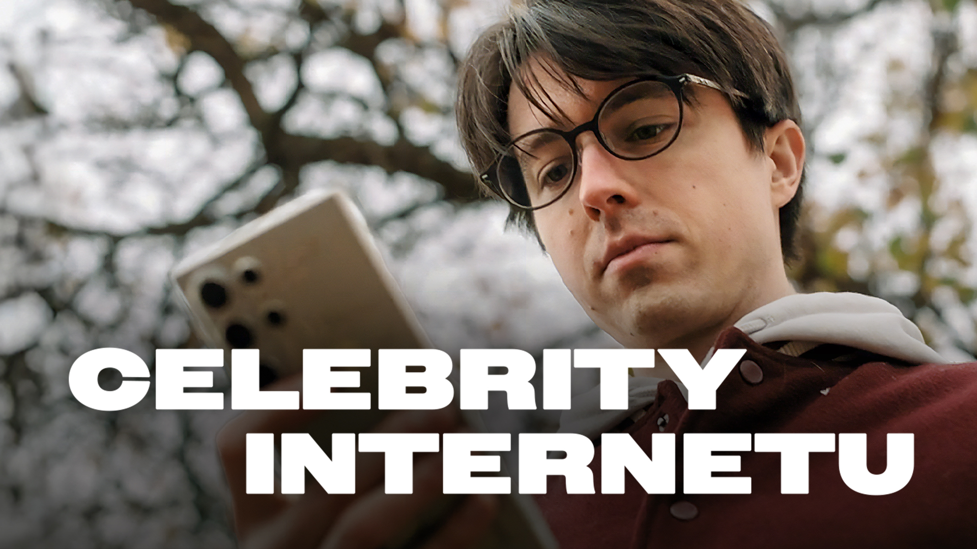 Celebrity internetu