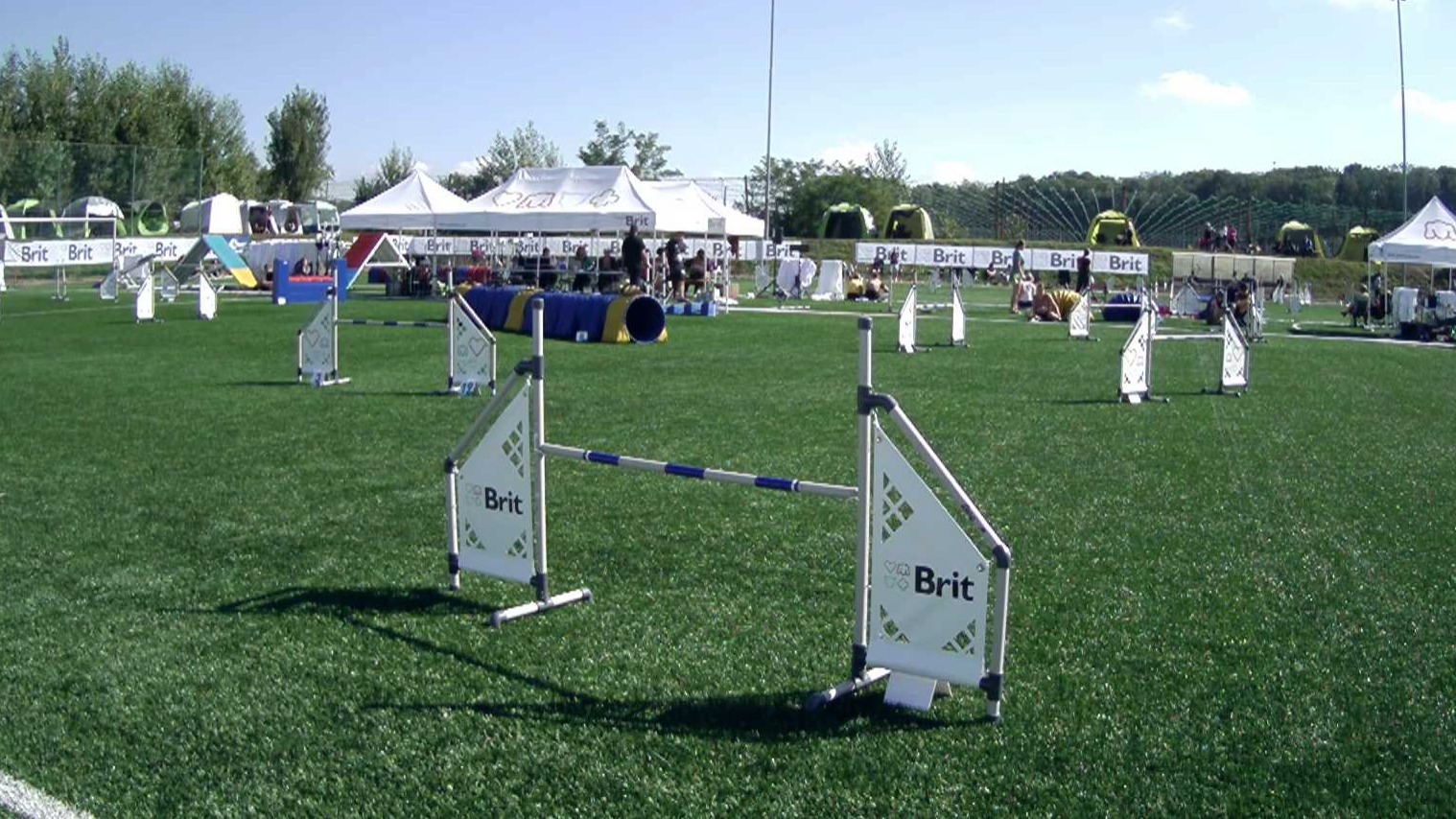 Agility ČR 2025