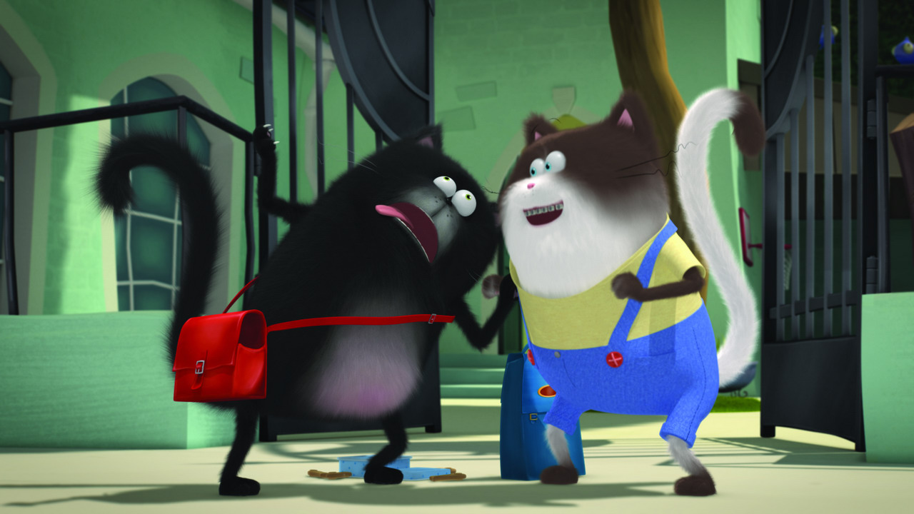 Splat & Harry