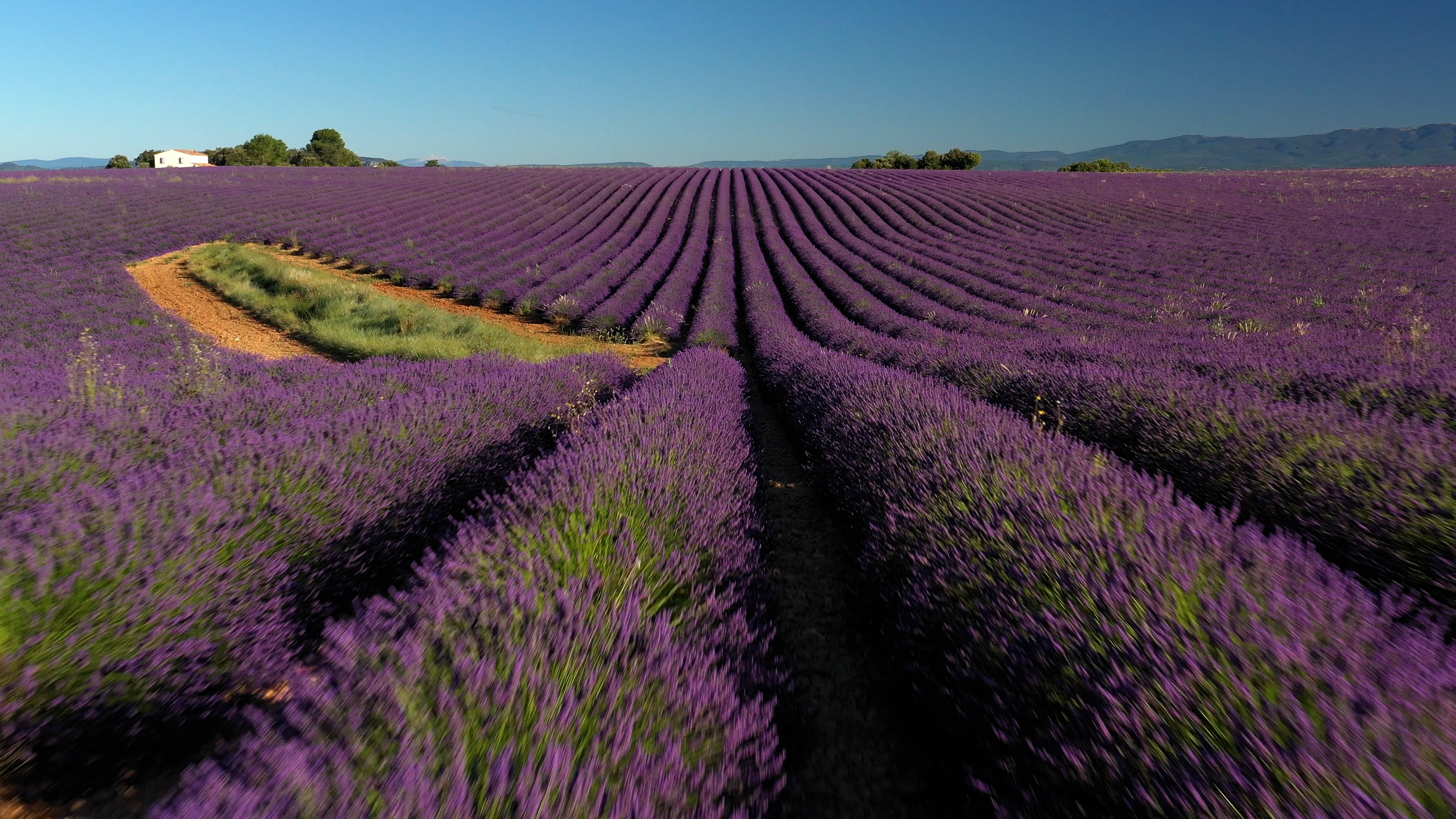 Věčná krása Provence