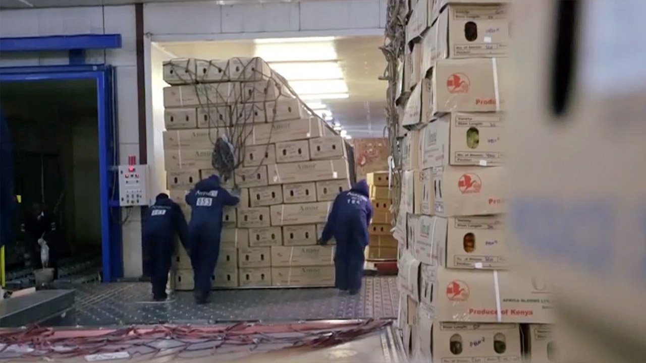 Květinová globalizace