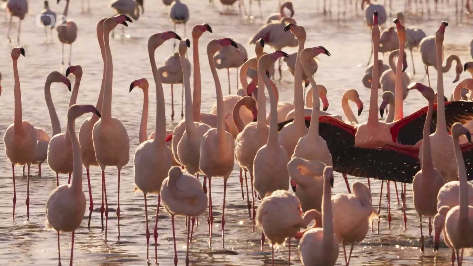 Středomoří - soužití člověka a přírody