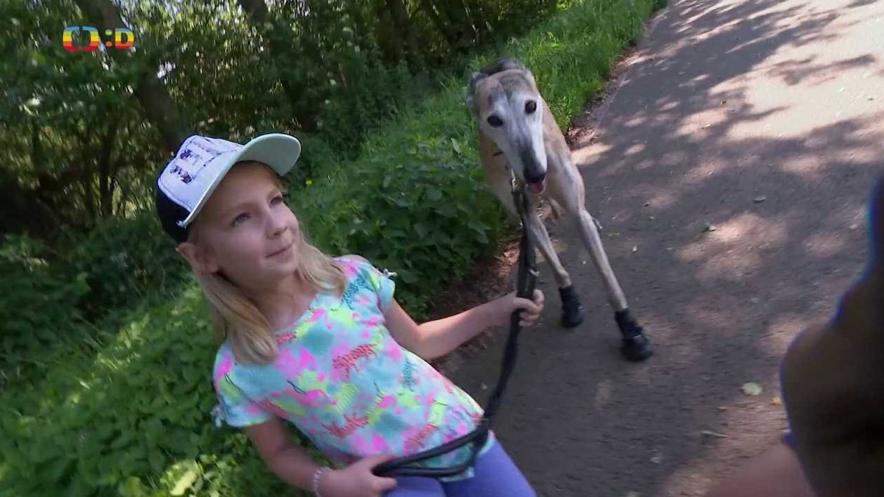 Terčin zvířecí svět
