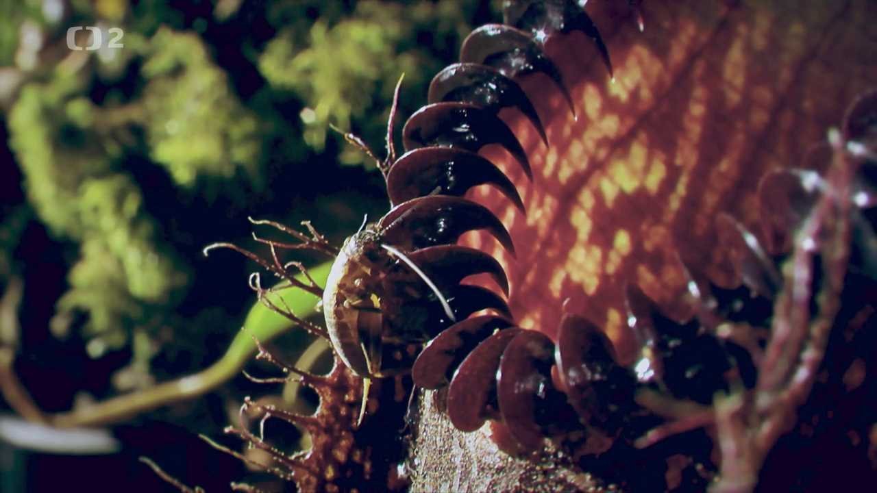 Příroda - úžasný zdroj inspirace
