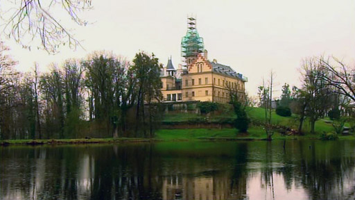 Raduň