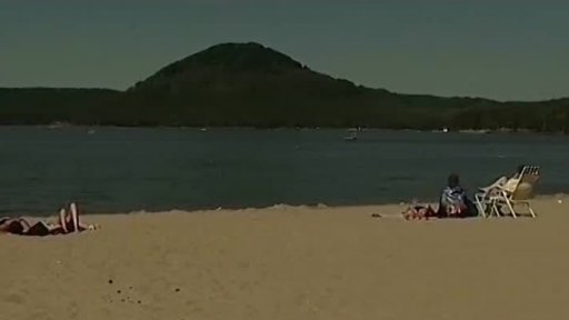 Počesku