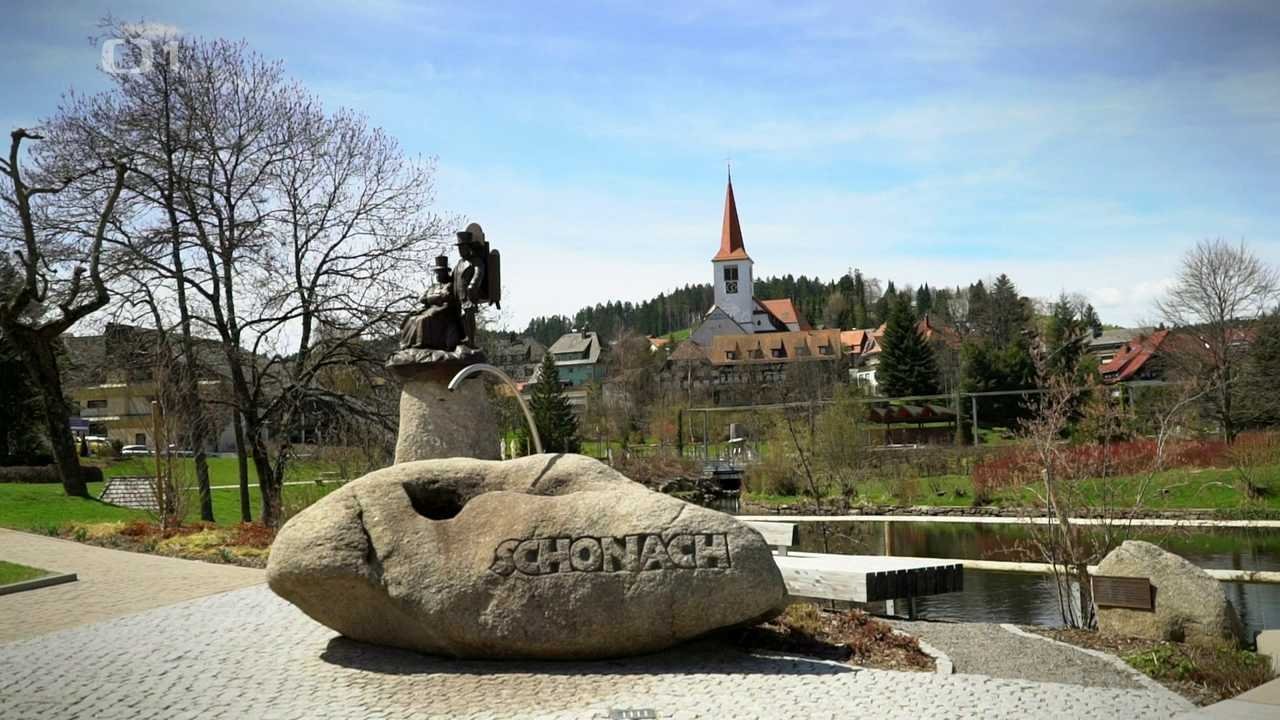Postřehy odjinud