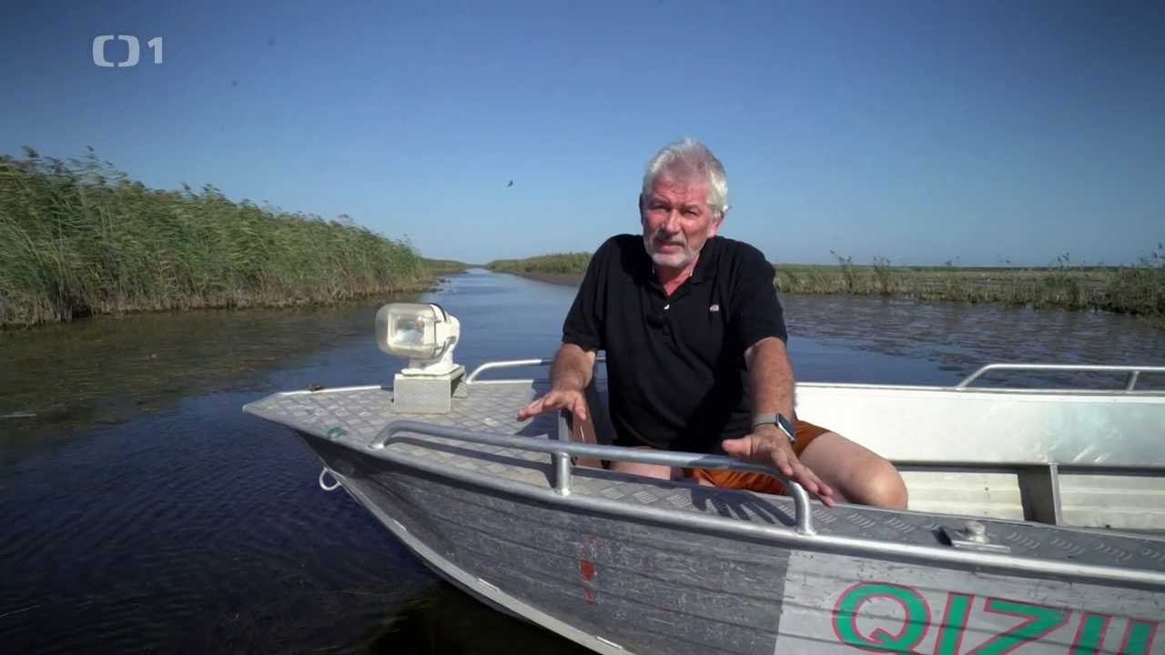 Postřehy odjinud