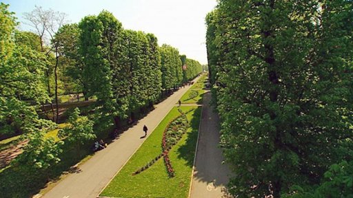 Olomouc, město květin