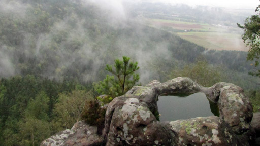 Divočina bez hranic