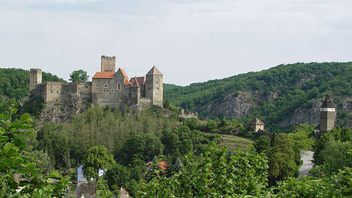 Divočina bez hranic