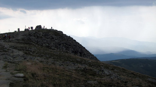 Divočina bez hranic