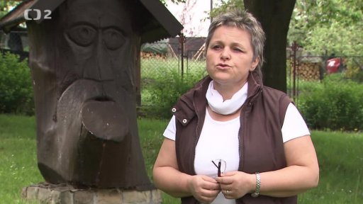 Dřevo a včely