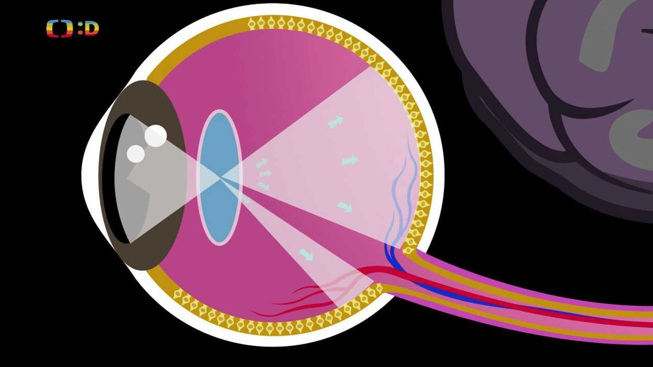 Operace Jauu! zkus to doma