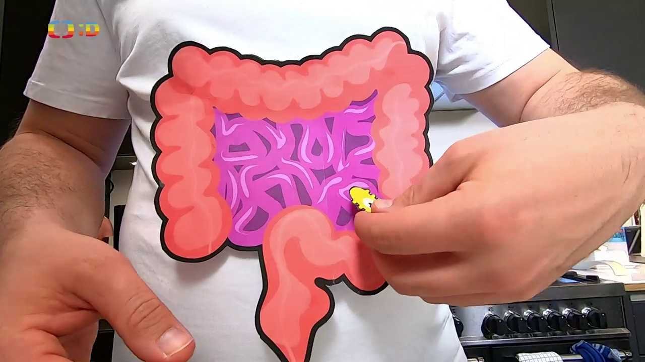 Operace Jauu! zkus to doma