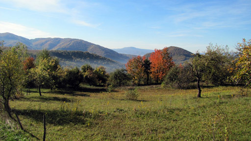 Divočina bez hranic