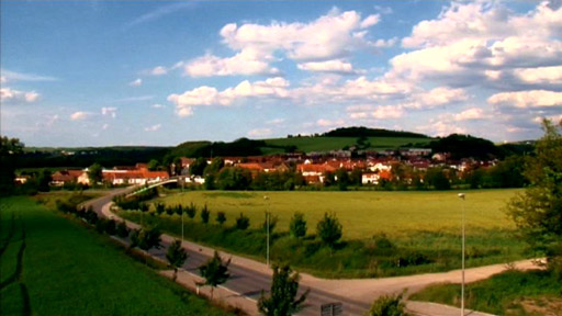 Vesnicopis