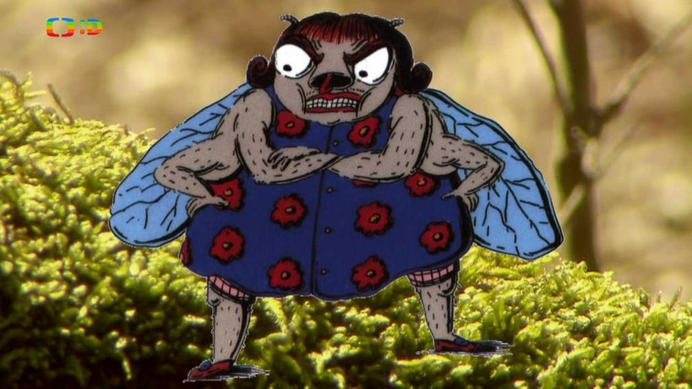 Pavouček Pája