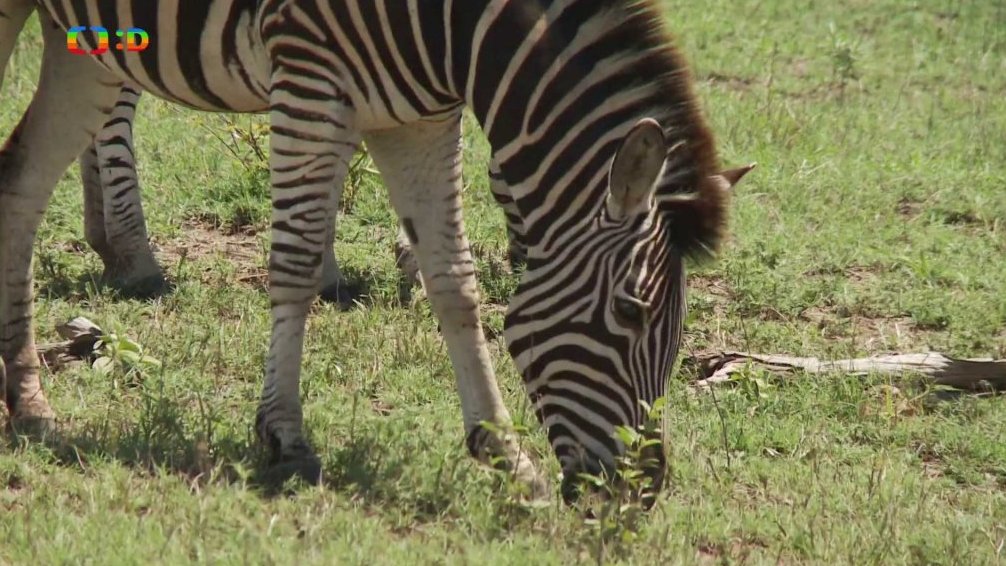 Africká abeceda