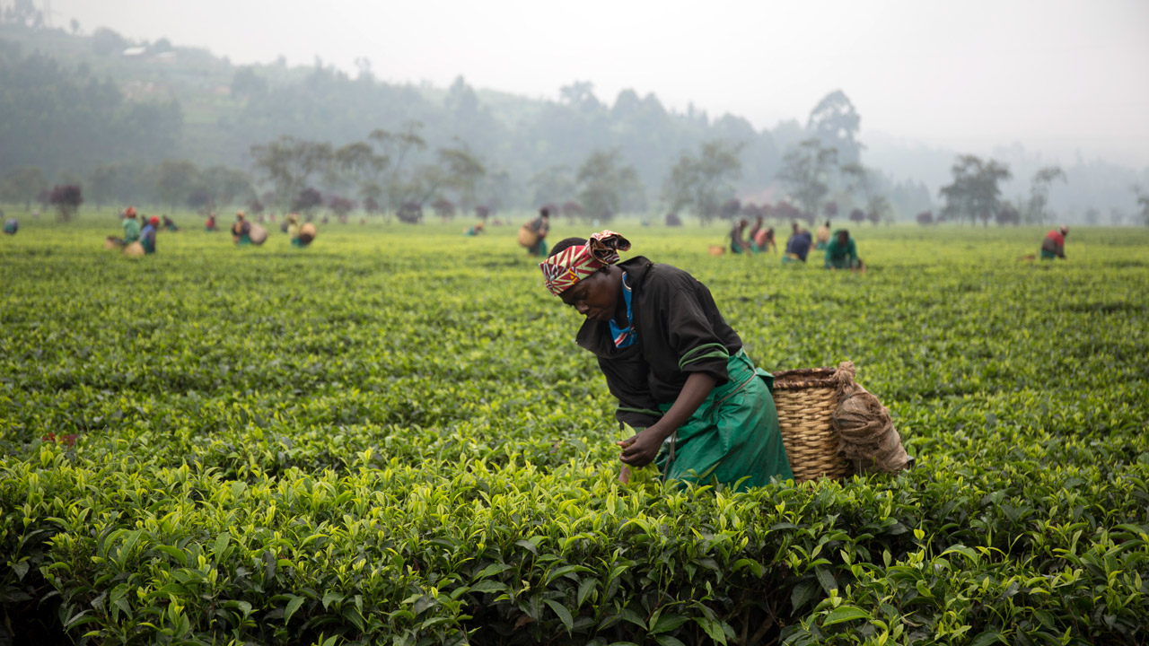 Na cestě po střední Rwandě