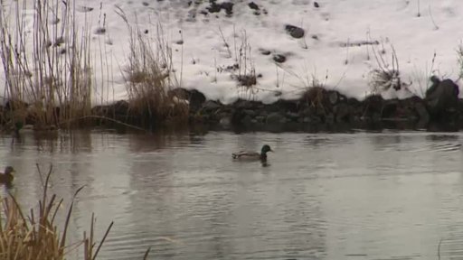 Jak se staví jezero