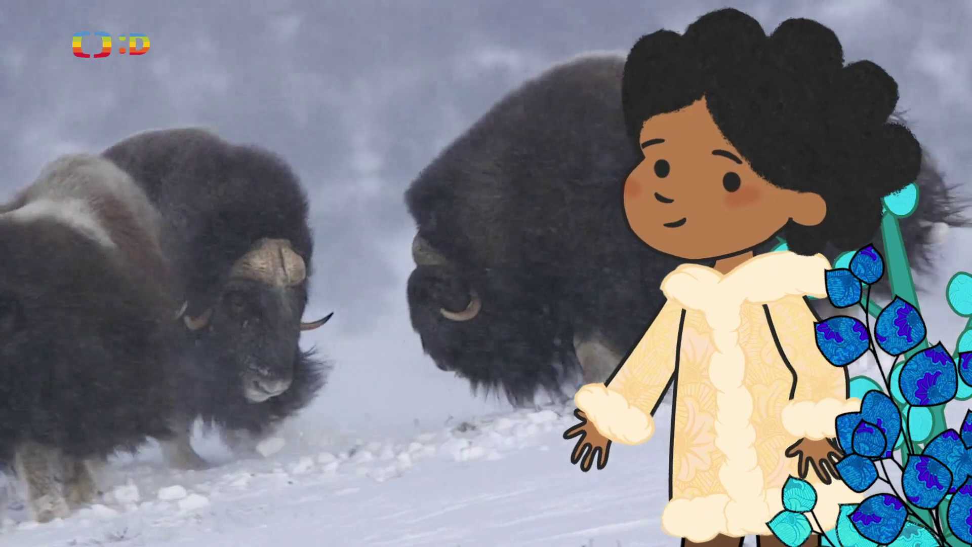 Velká kniha o zvířátkách II