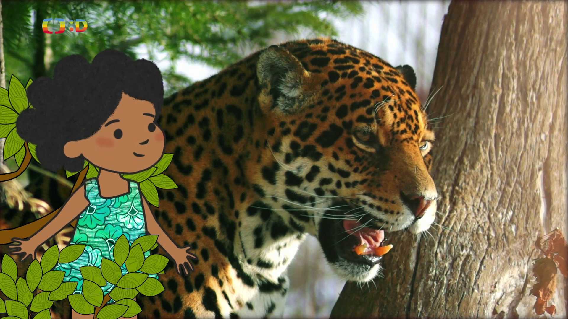 Velká kniha o zvířátkách II